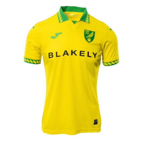Norwich City Home Football Shirt 25 26