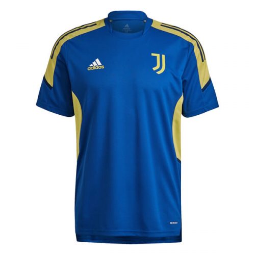 Juventus Europe Pre Match Training Football Shirt