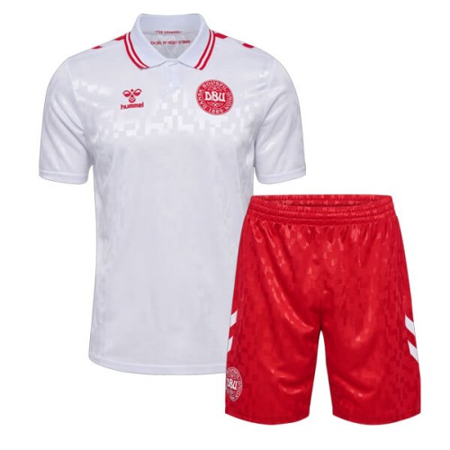 Denmark Away Kids Football Kit 2024