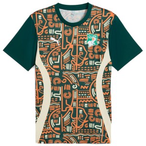 Ivory Coast Pre Match Training Football Top 2025